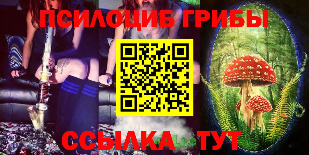 Псилоцибиновые грибы прущие грибы  Вход с VPN  Галлюциногенные грибы прущие грибы  Кстово 